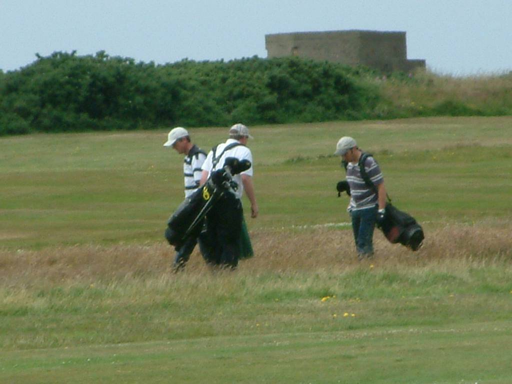 Click now to see this image full size.