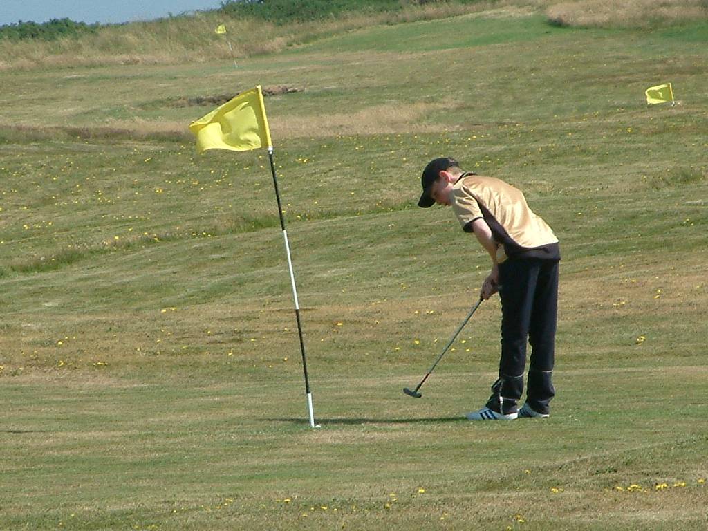 Click now to see this image full size.