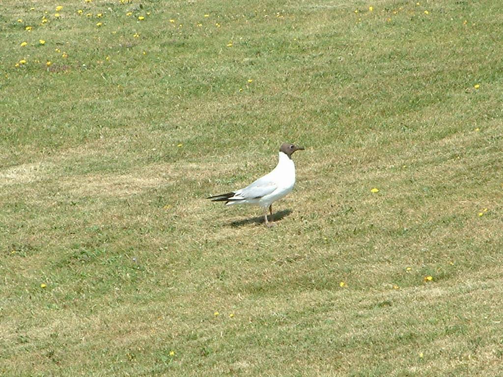 Click now to see this image full size.