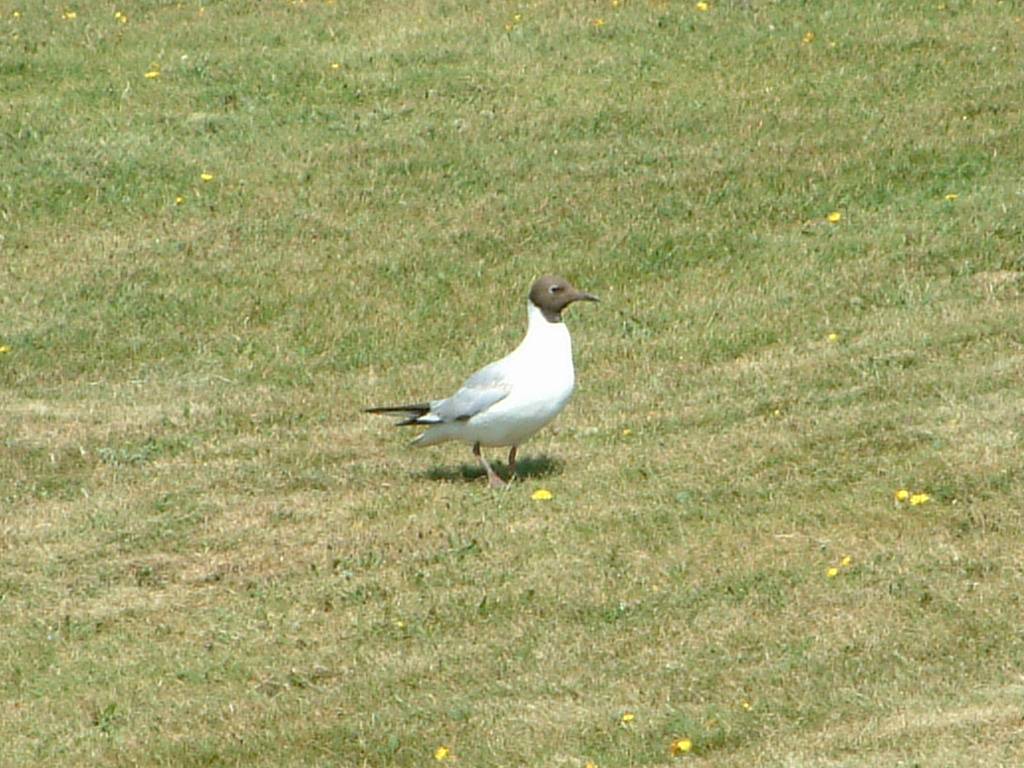 Click now to see this image full size.