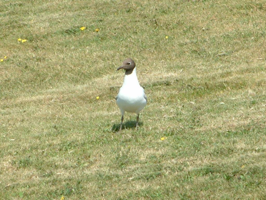 Click now to see this image full size.