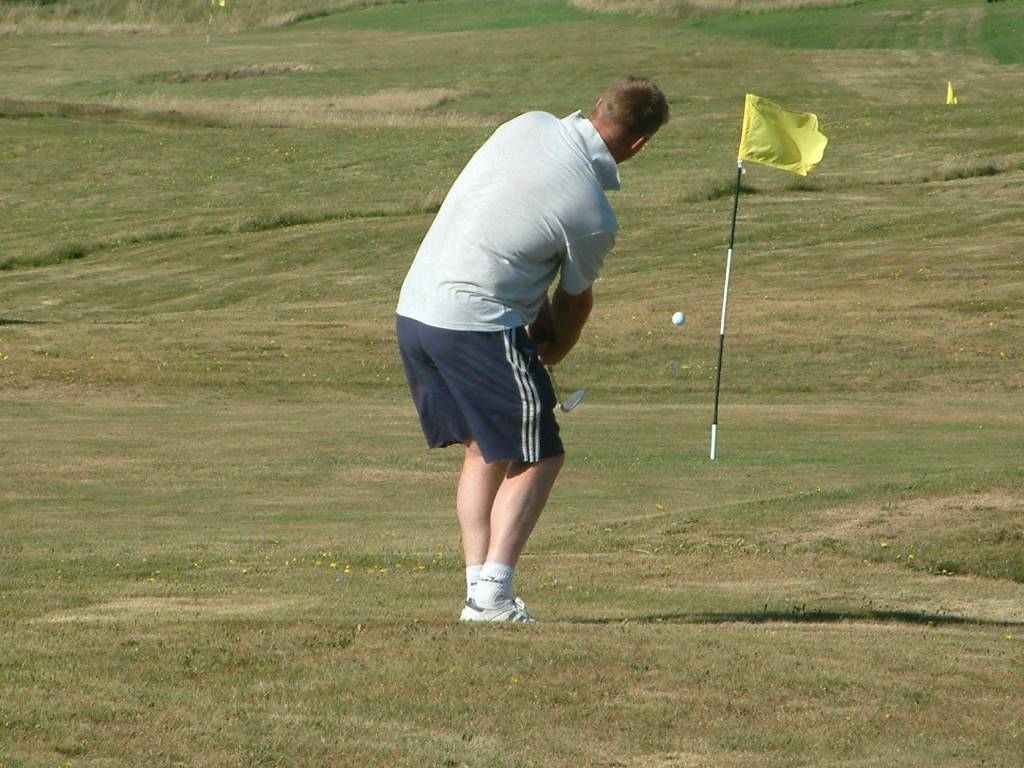 Click now to see this image full size.