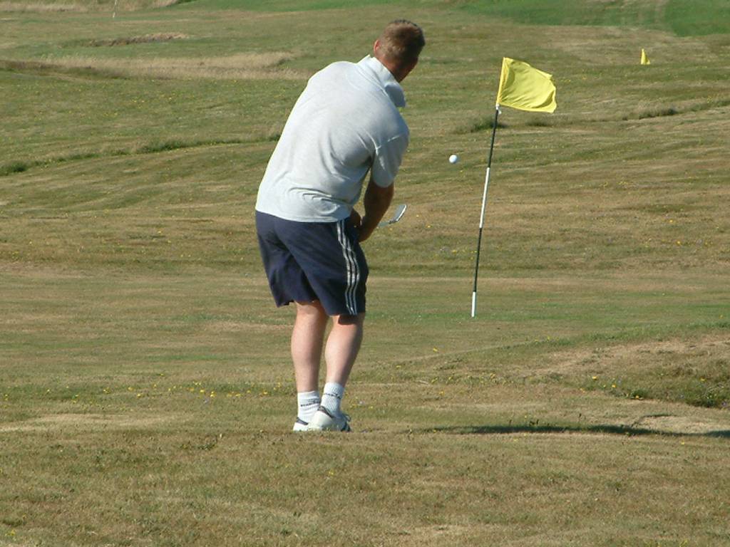 Click now to see this image full size.