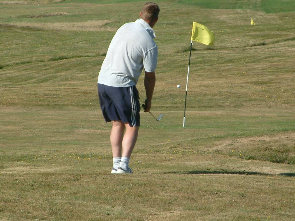 Click now to see this image full size.