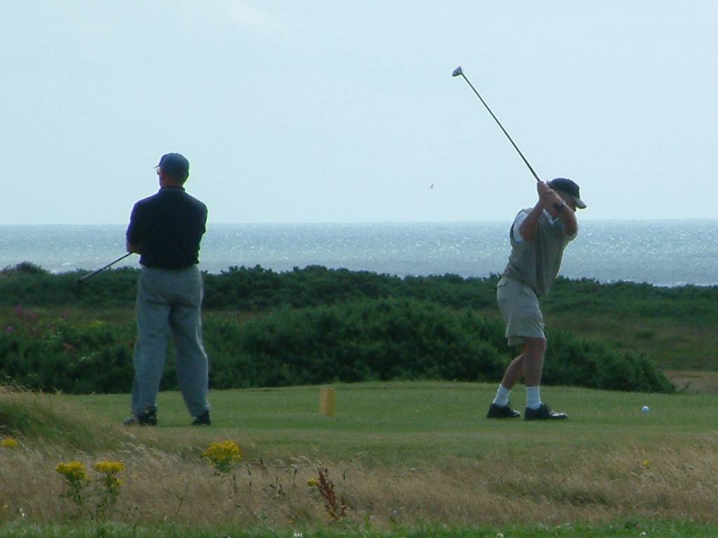 Click now to see this image full size.