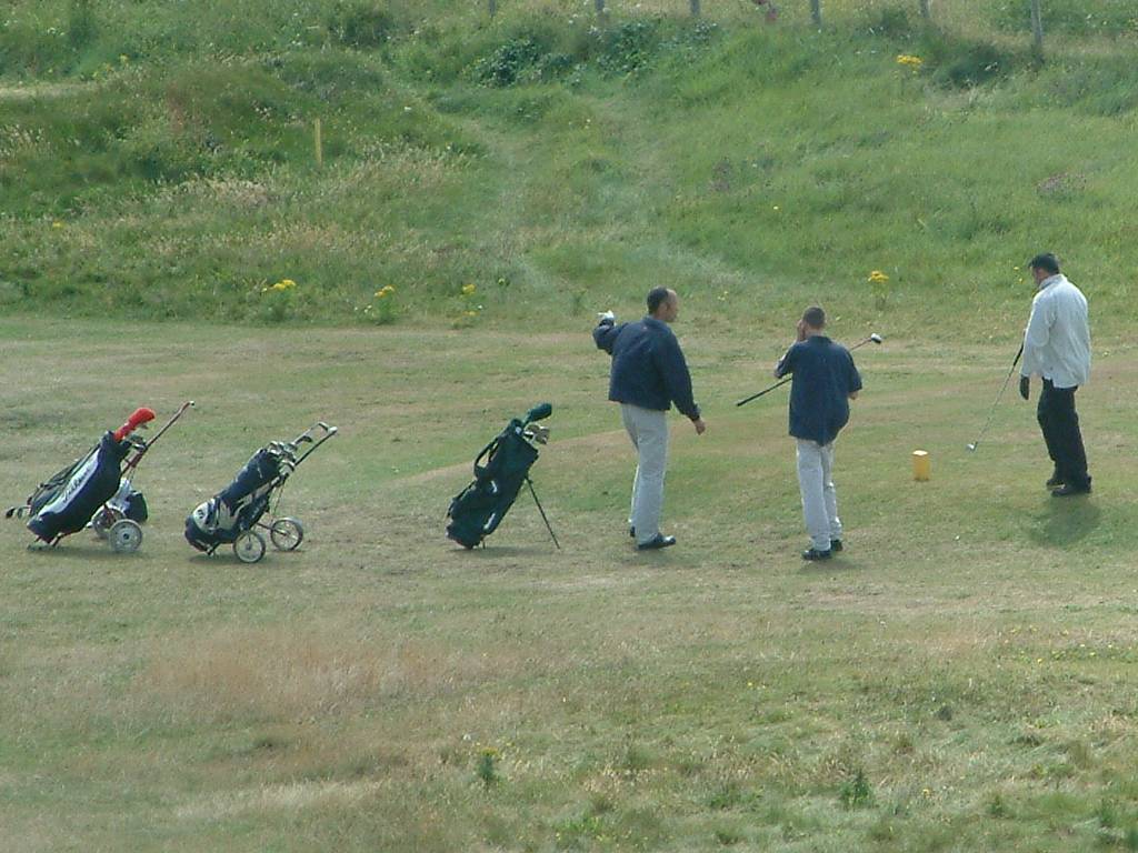 Click now to see this image full size.