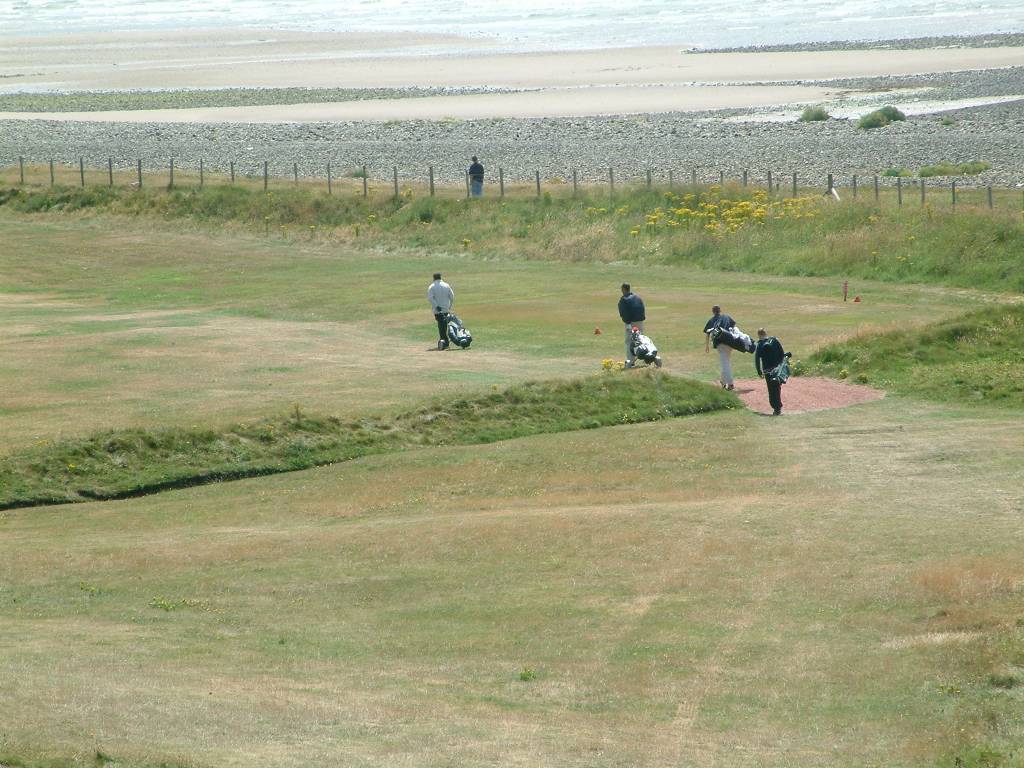 Click now to see this image full size.