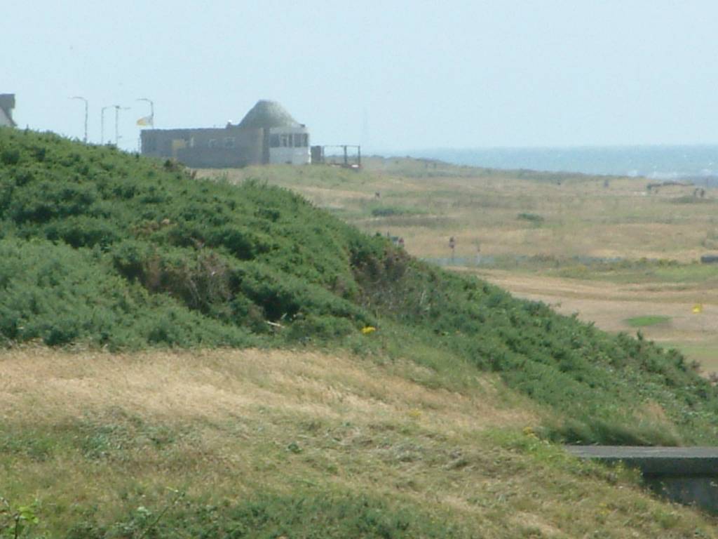 Click now to see this image full size.