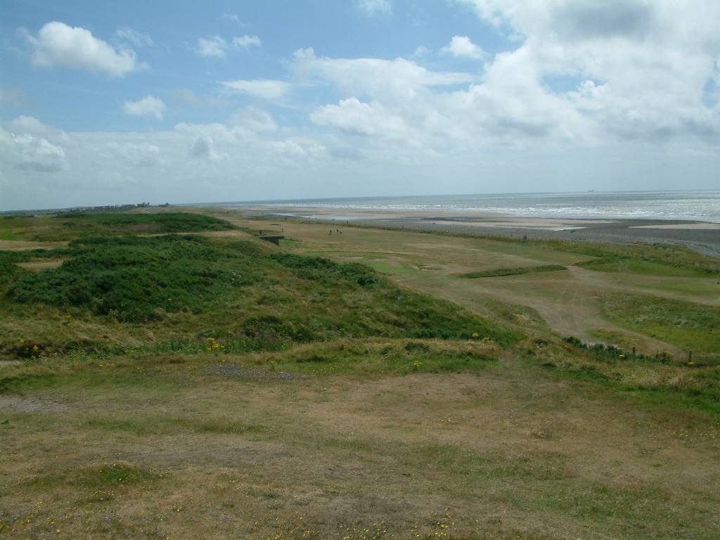 Click now to see this image full size.