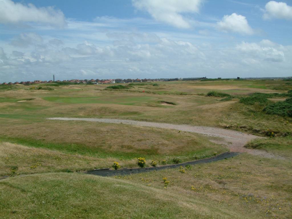 Click now to see this image full size.