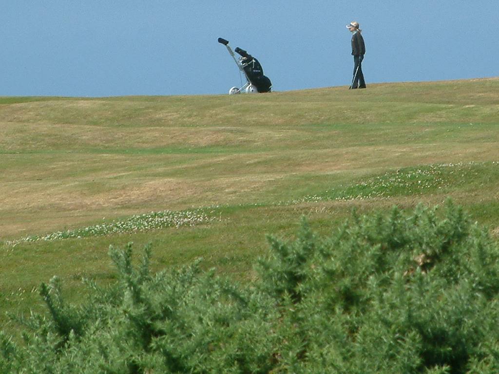 Click now to see this image full size.