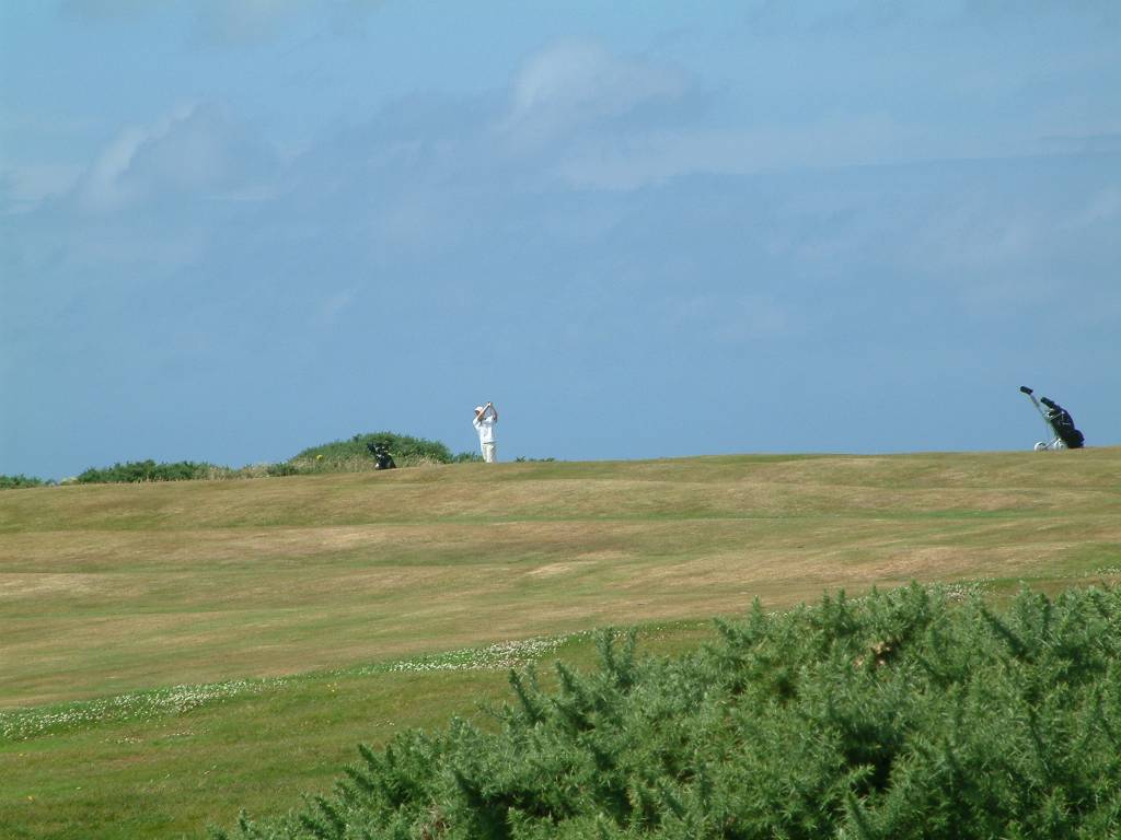 Click now to see this image full size.