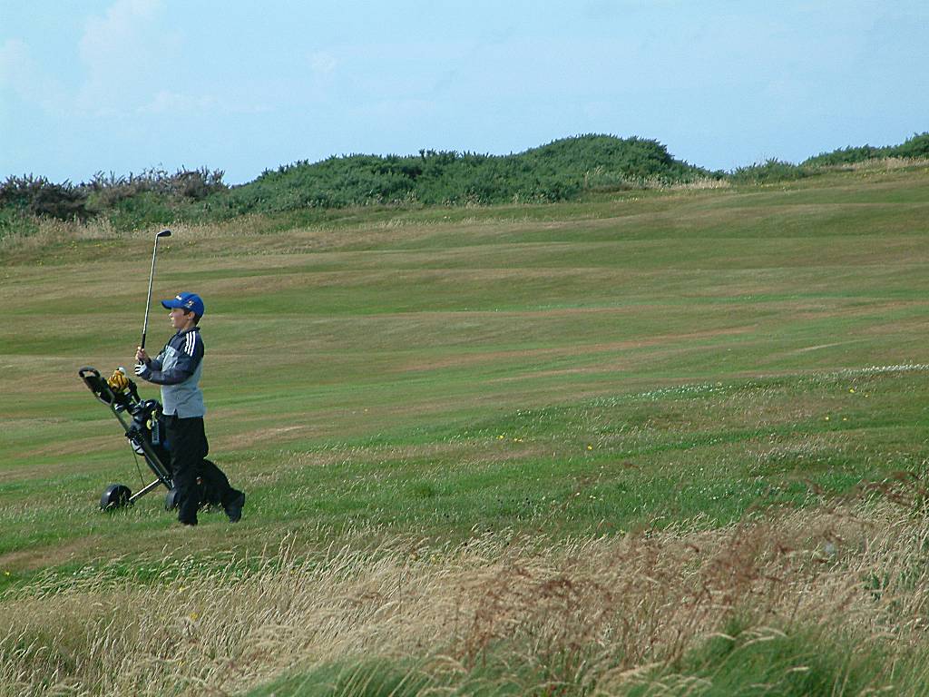 Click now to see this image full size.