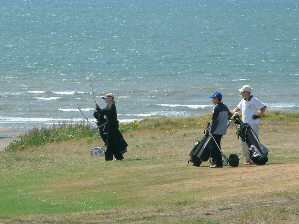 Click now to see this image full size.