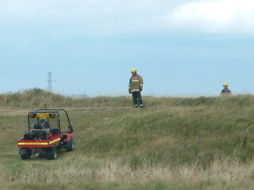 Click now to see this image full size.