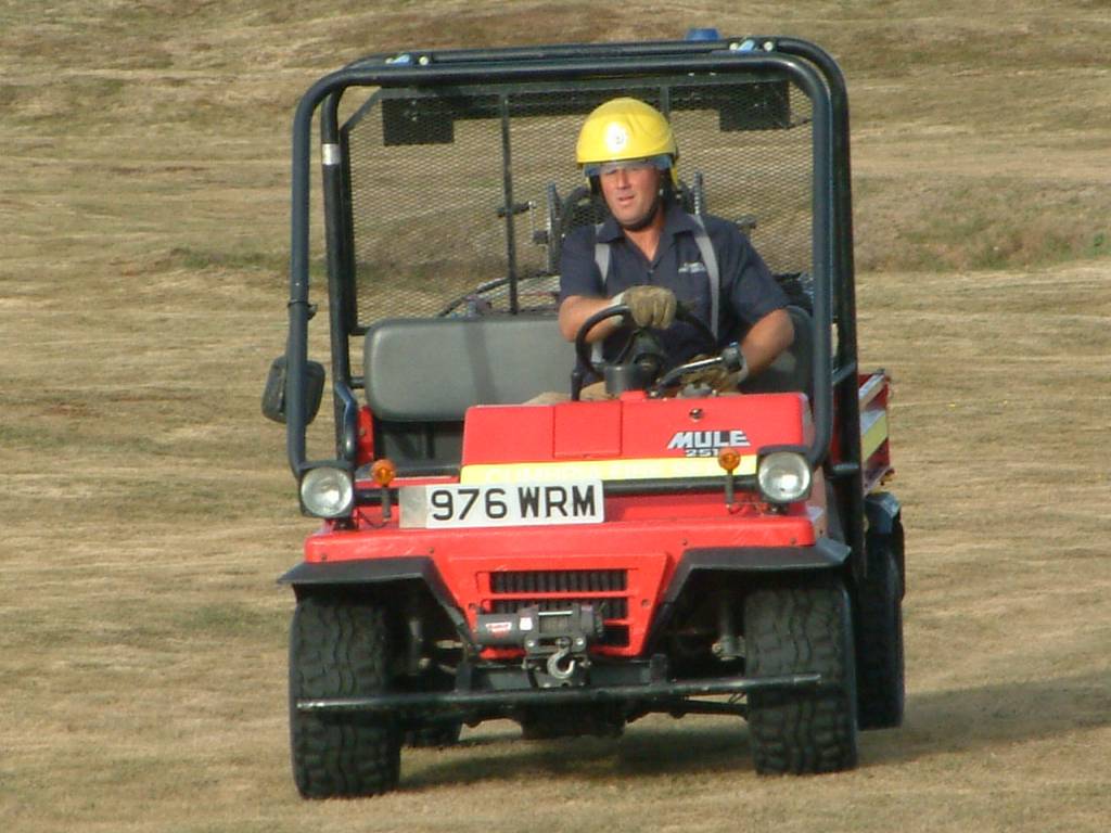 Click now to see this image full size.