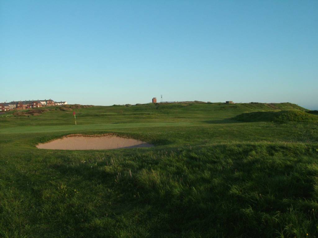 Click now to see this image full size.