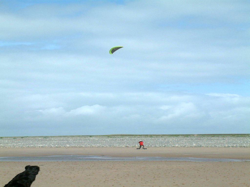 Click now to see this image full size.