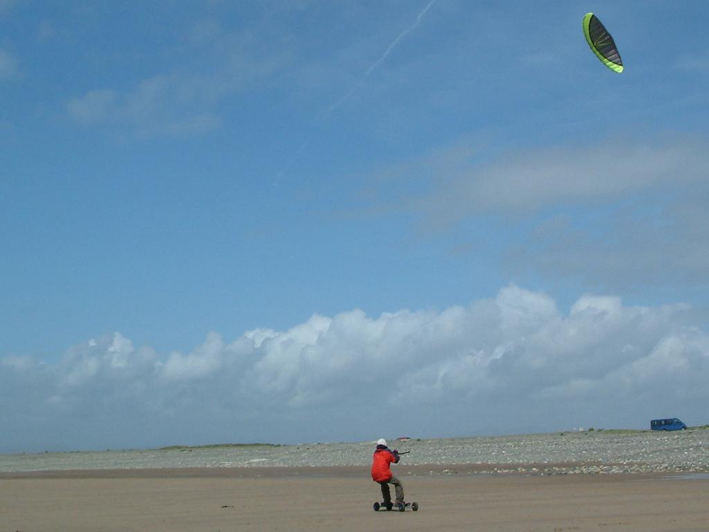 Click now to see this image full size.