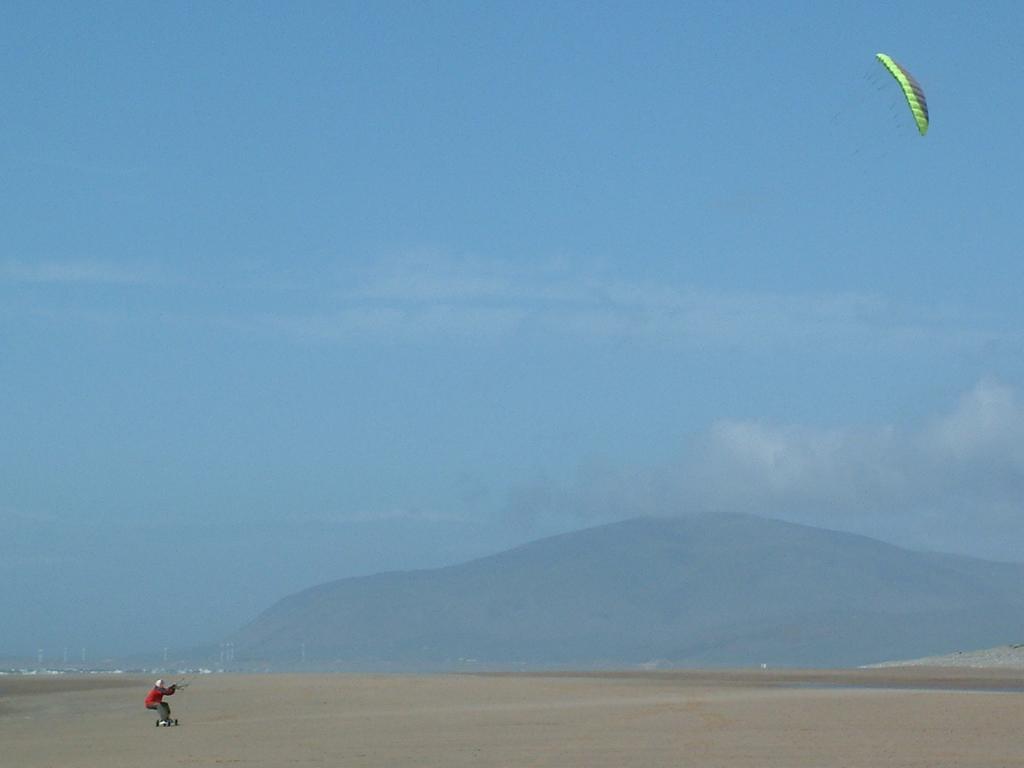 Click now to see this image full size.