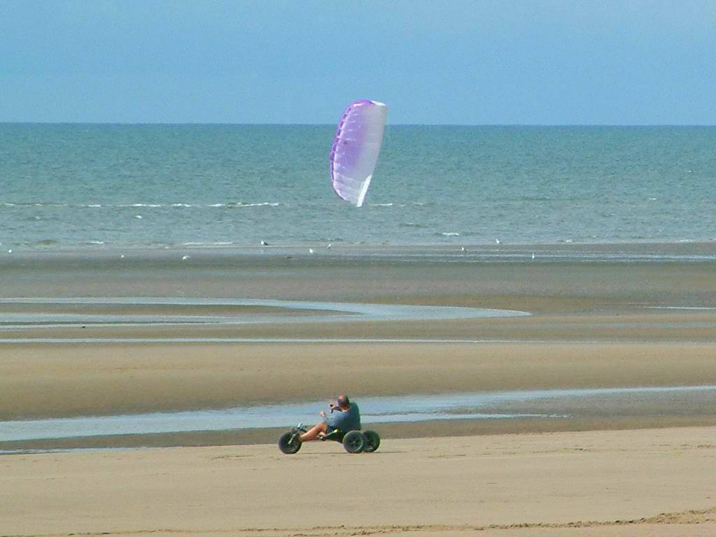 Click now to see this image full size.