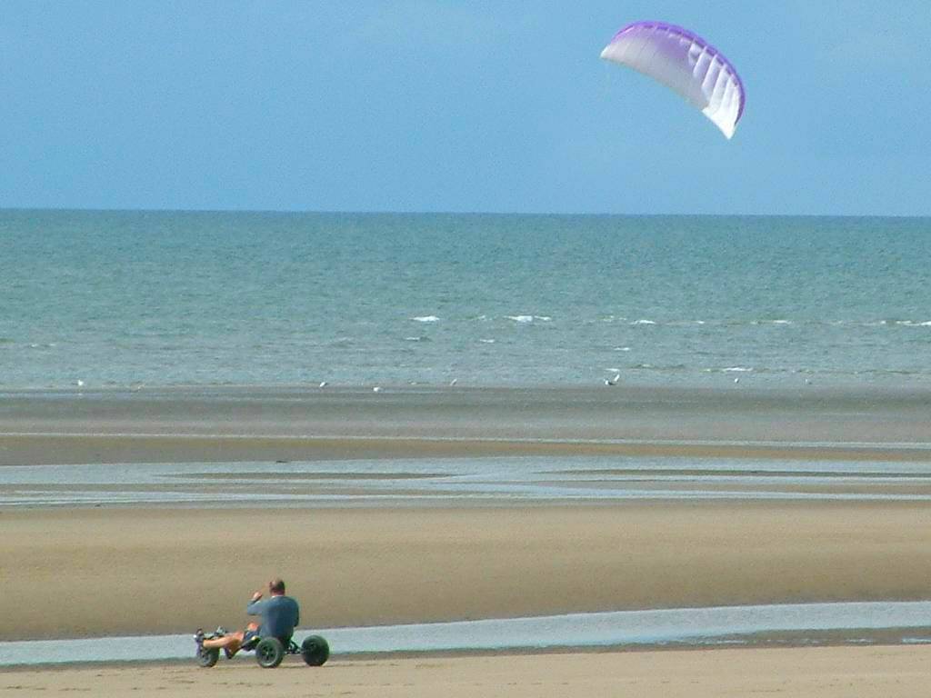 Click now to see this image full size.