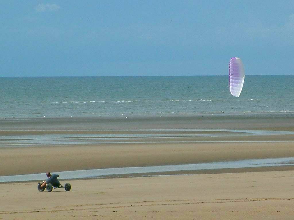 Click now to see this image full size.