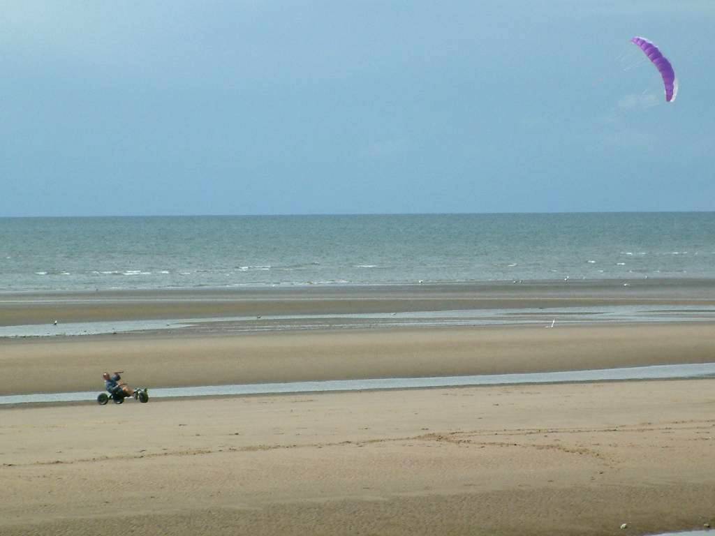 Click now to see this image full size.