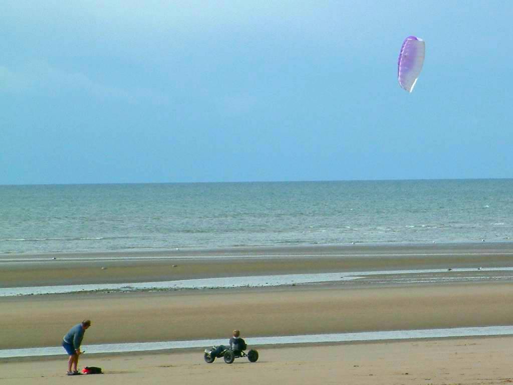 Click now to see this image full size.