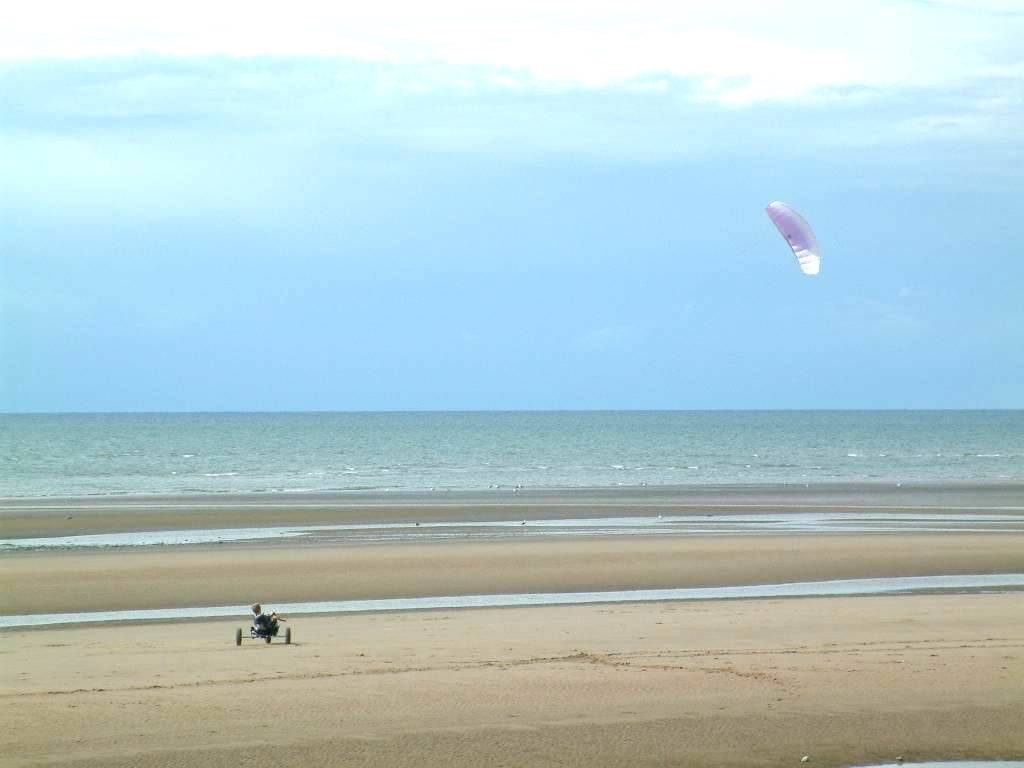 Click now to see this image full size.