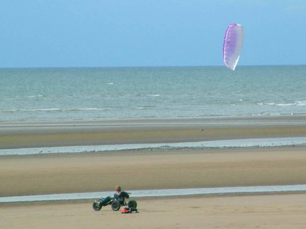 Click now to see this image full size.