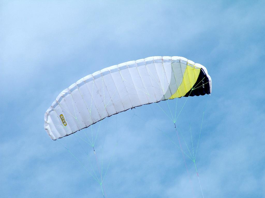 Click now to see this image full size.