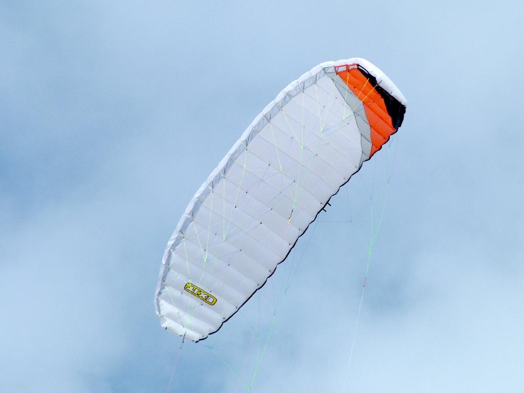 Click now to see this image full size.