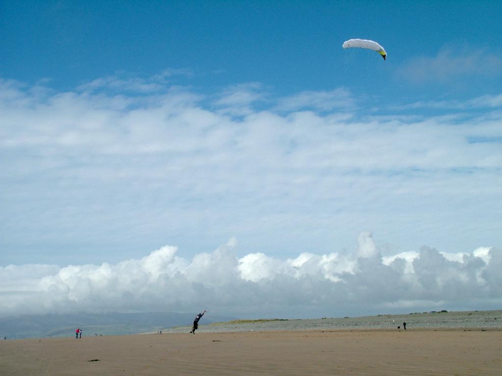 Click now to see this image full size.