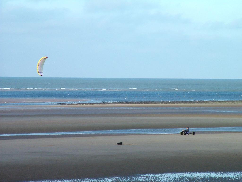 Click now to see this image full size.