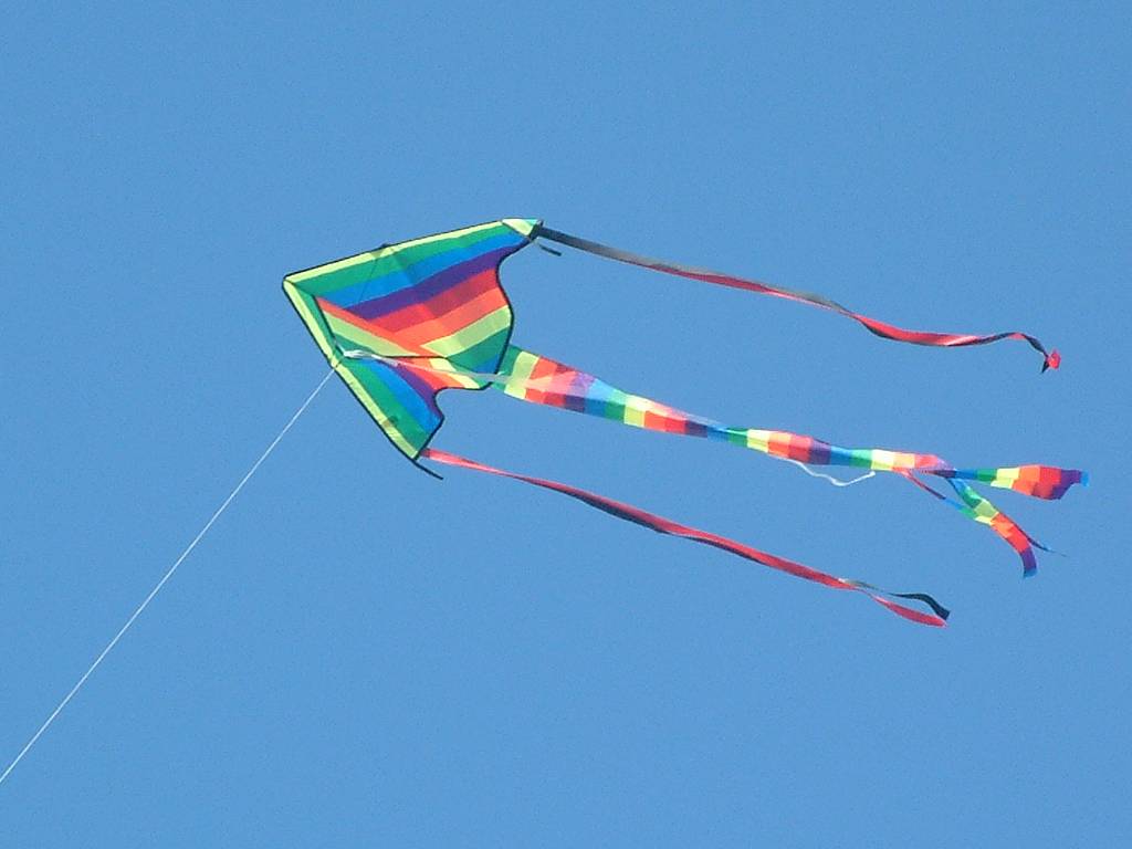 Click now to see this image full size.