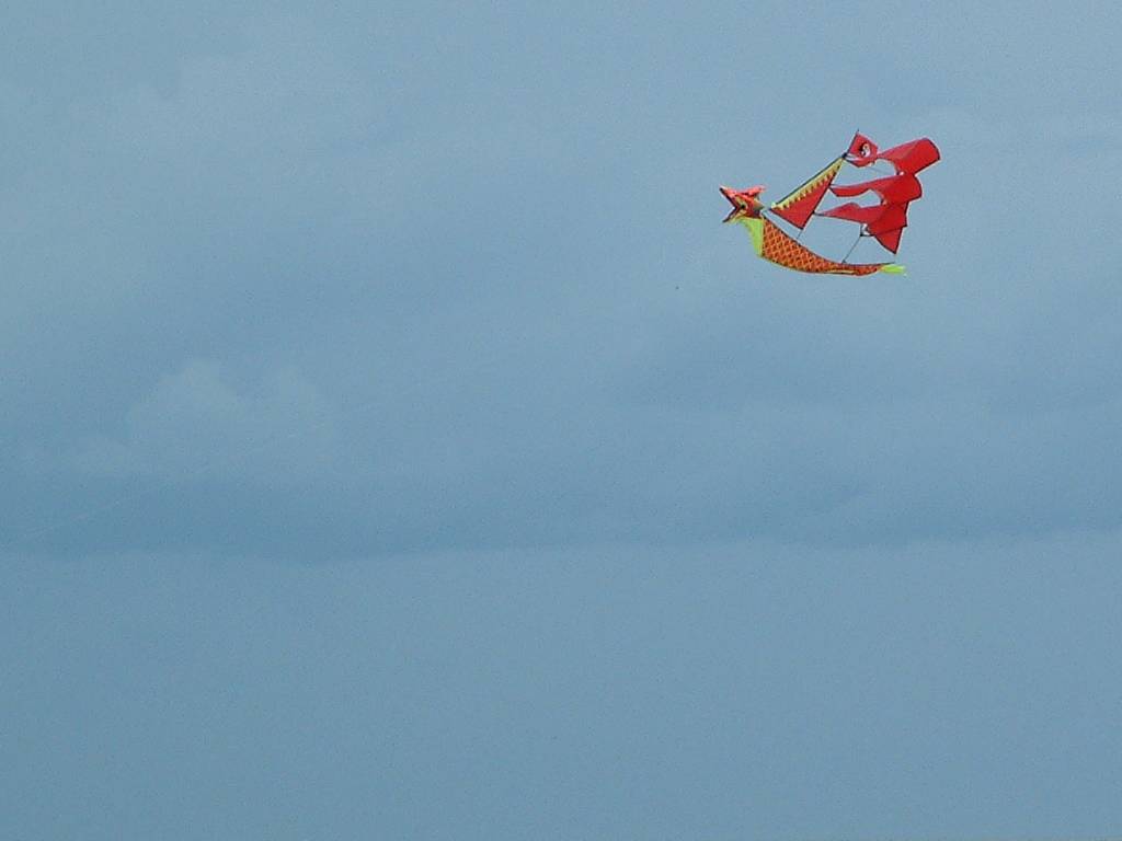 Click now to see this image full size.