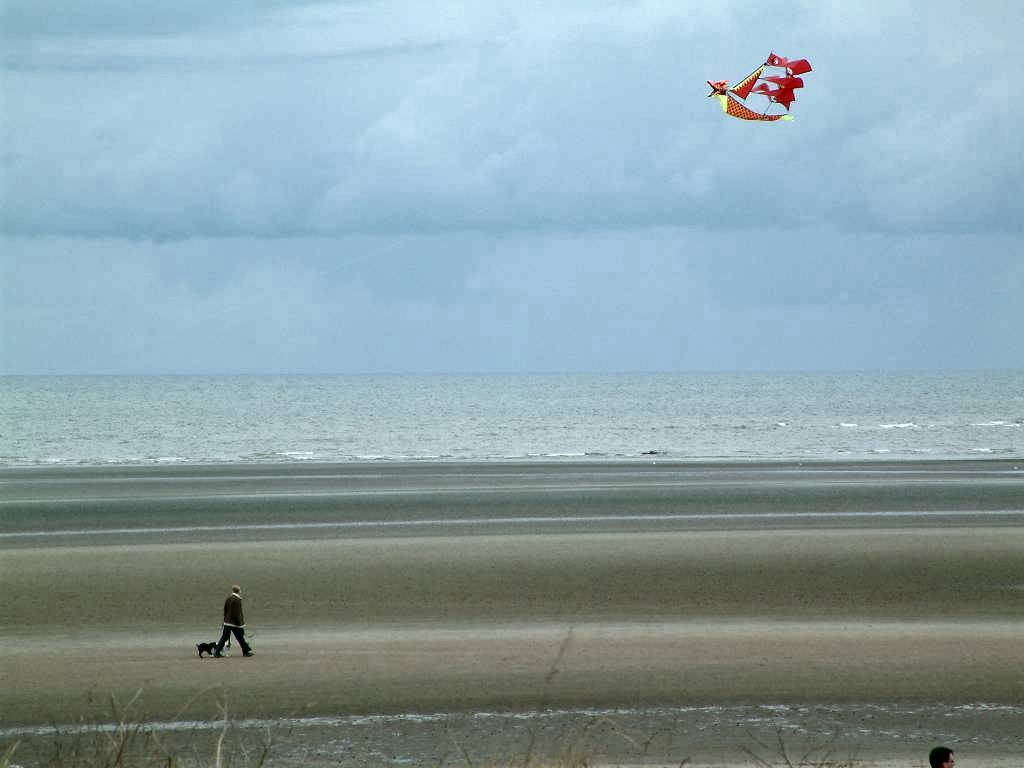 Click now to see this image full size.