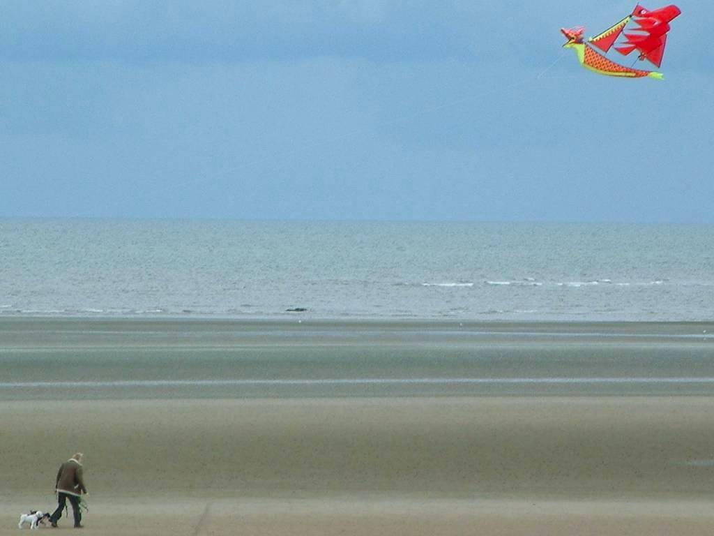 Click now to see this image full size.