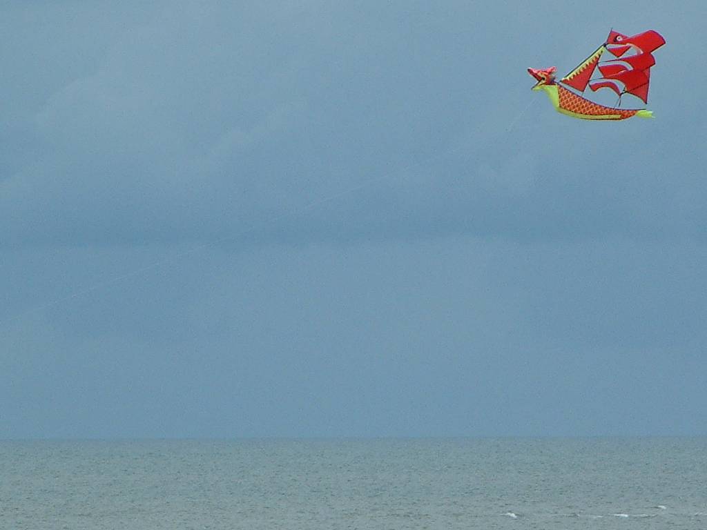 Click now to see this image full size.