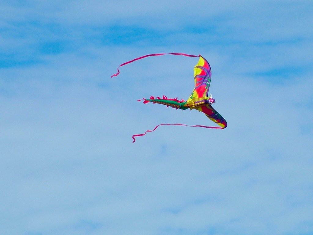 Click now to see this image full size.