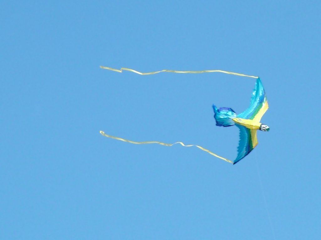 Click now to see this image full size.