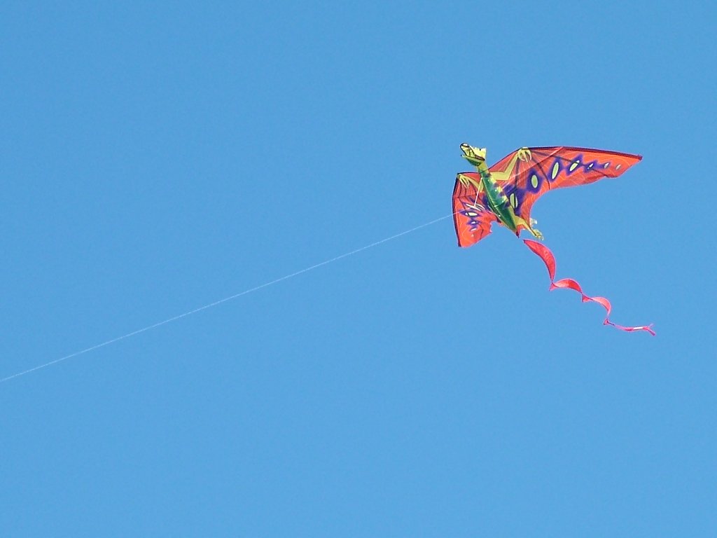 Click now to see this image full size.