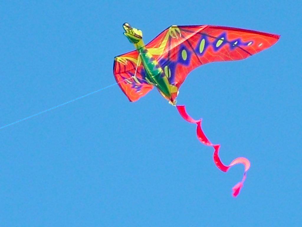 Click now to see this image full size.