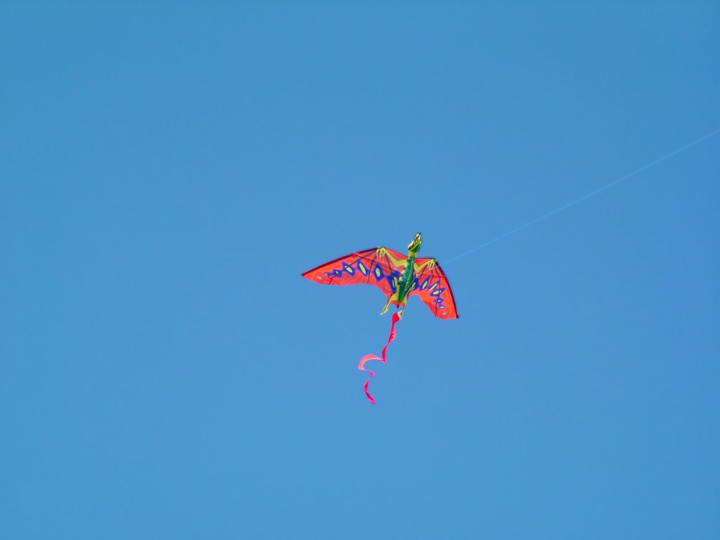 Click now to see this image full size.