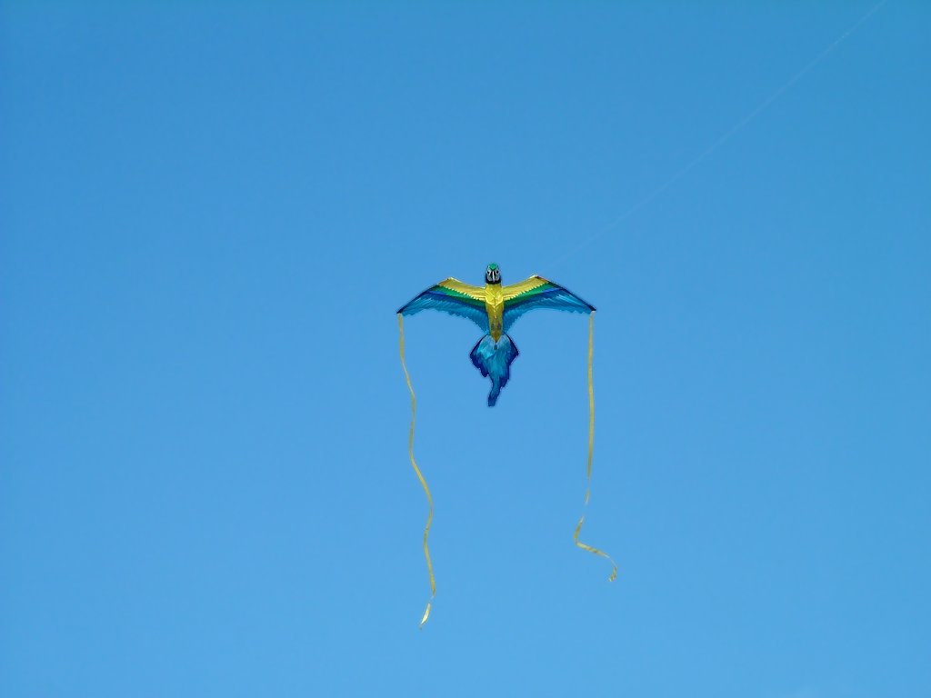 Click now to see this image full size.