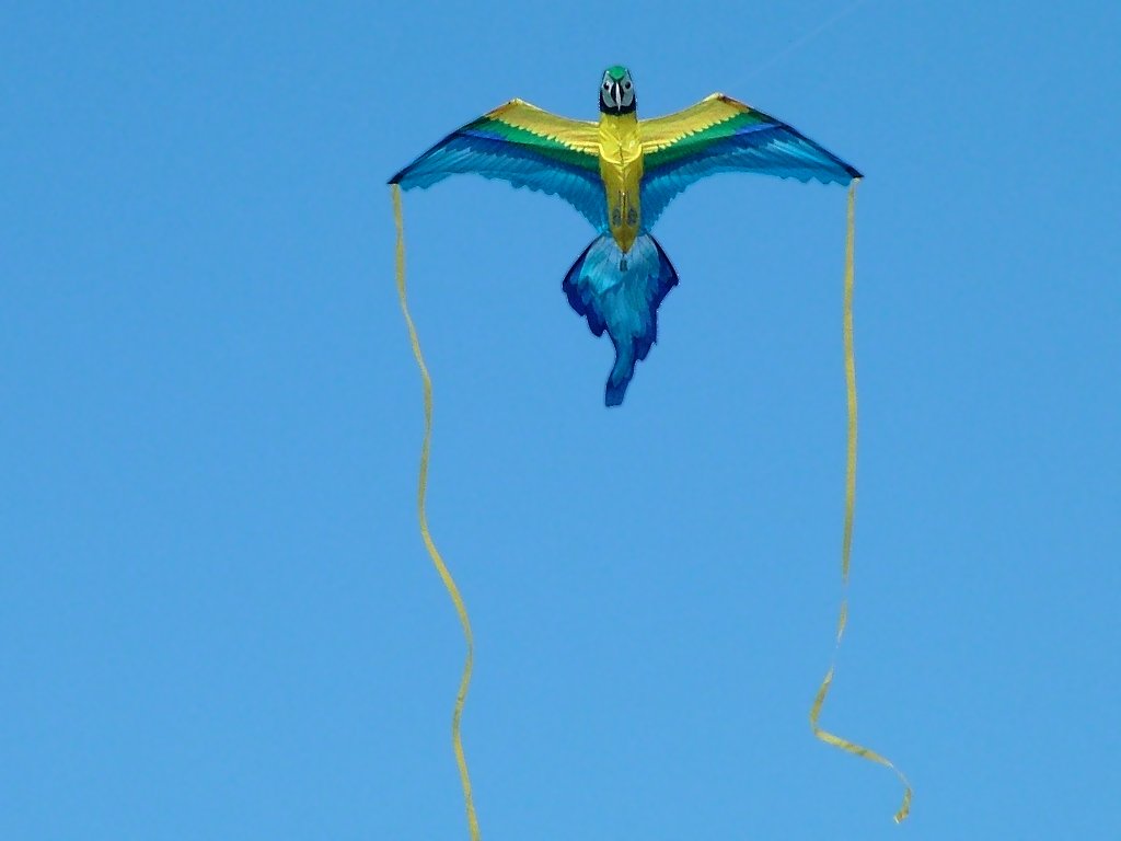 Click now to see this image full size.