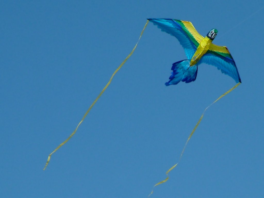 Click now to see this image full size.