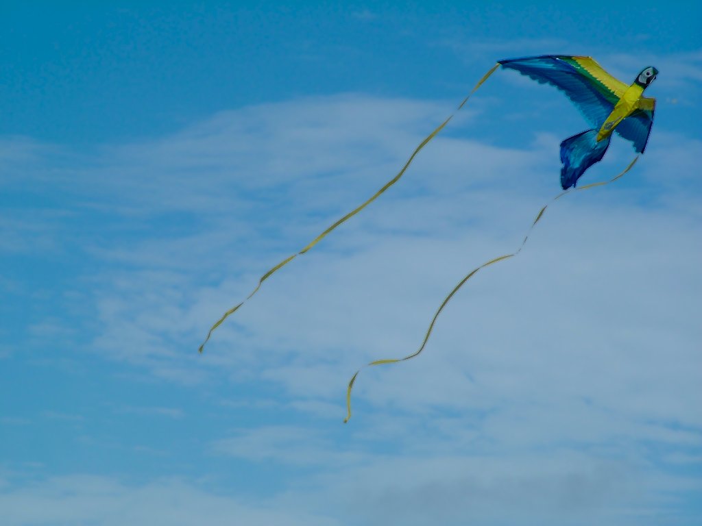 Click now to see this image full size.