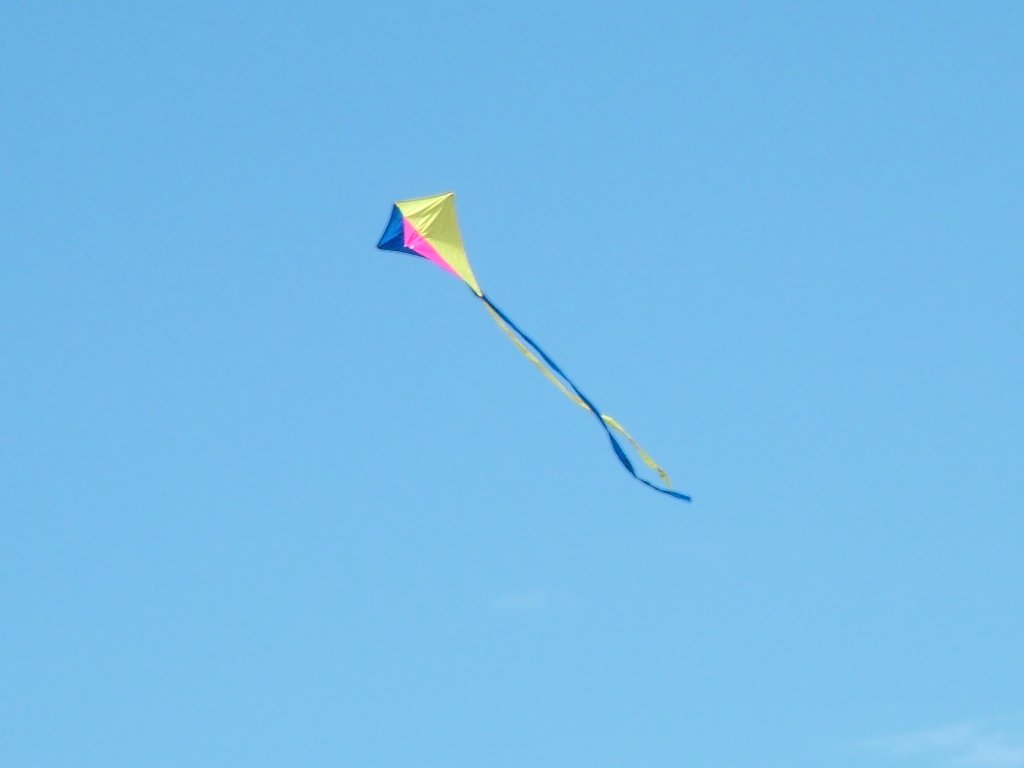 Click now to see this image full size.